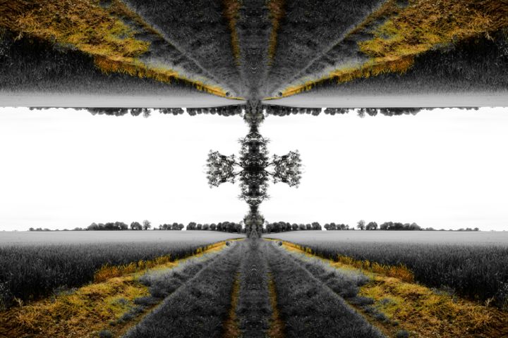 Digital Arts titled "Fields of gold" by Clyde +, Original Artwork, Digital Painting