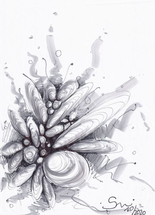 Coquillages 图画, 8x5.8 in