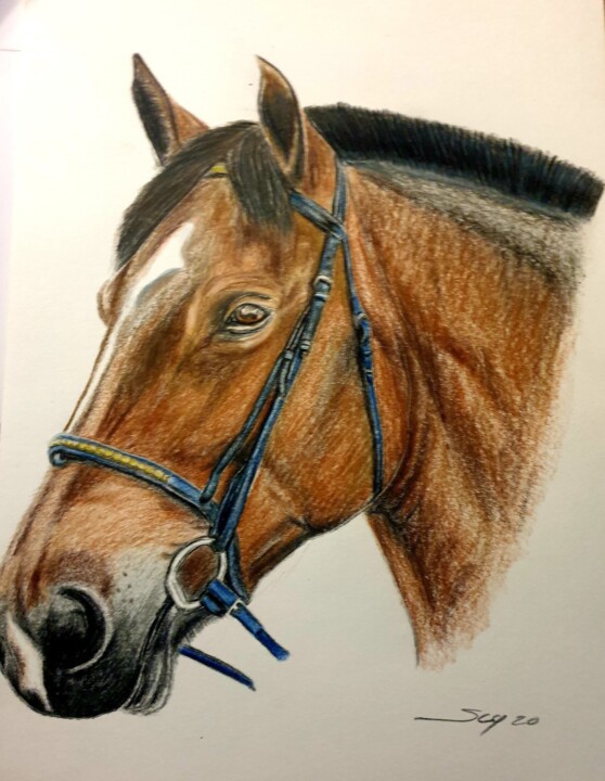 My horse 绘画, 11.4x8.3 in