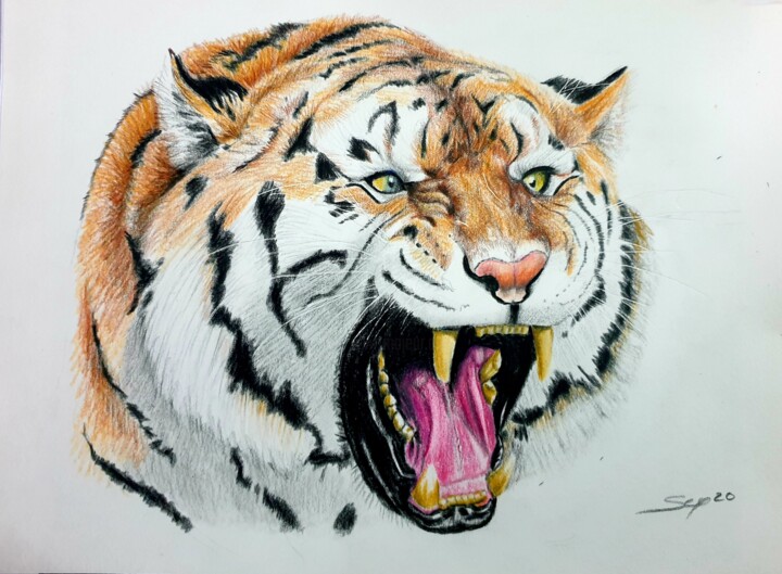 Tigre3 绘画, 8.3x11.4 in
