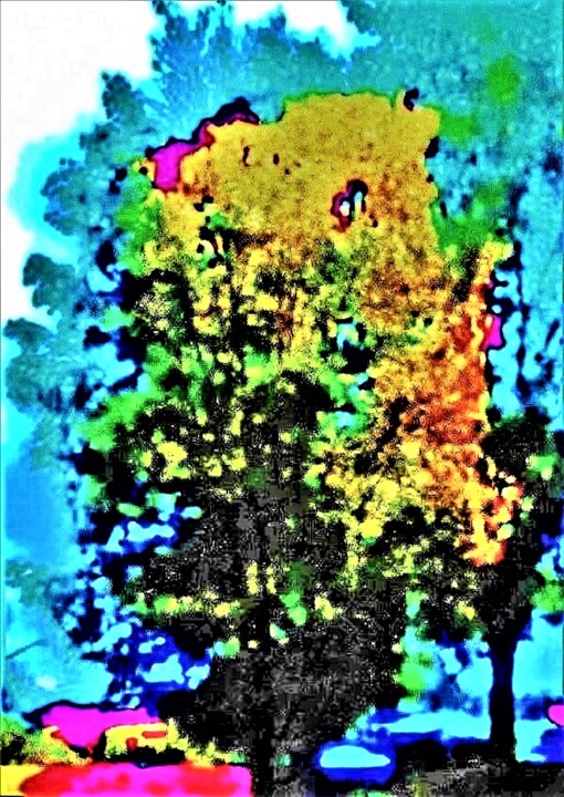 Photography titled "TECHNICOLOR AUTUMN…" by Jmsbell, Original Artwork, Manipulated Photography