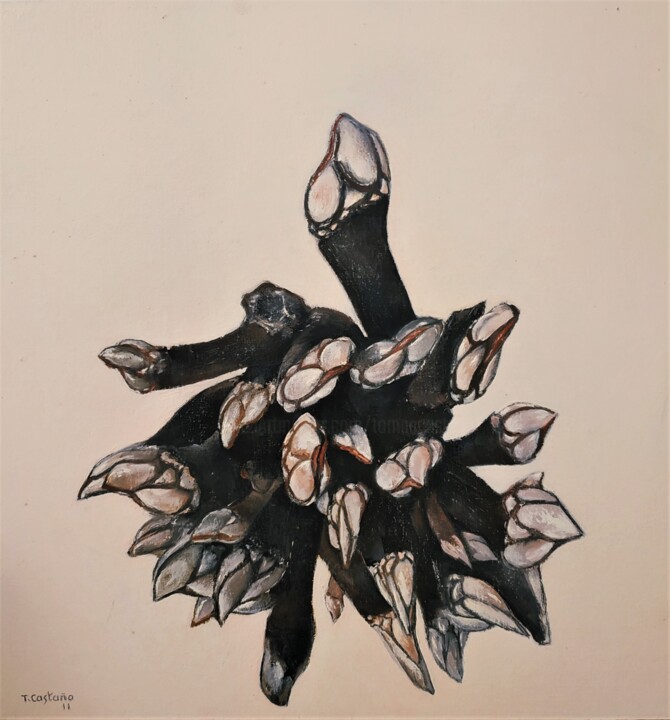 Percebes 绘画, 15.8x15.8 in