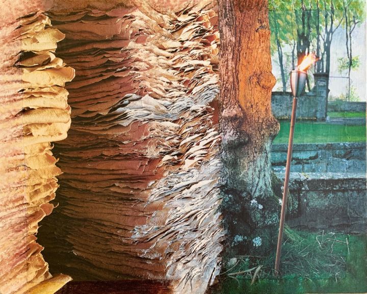 Κολάζ με τίτλο "De l’arbre à la feu…" από Anne Vidal, Αυθεντικά έργα τέχνης, Κολάζ Τοποθετήθηκε στο Ξύλινο φορείο σκελετό