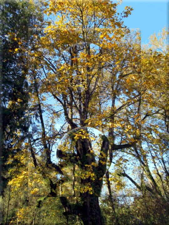 Photography titled "Autumn View 2" by Ken Grzesik, Original Artwork, Manipulated Photography