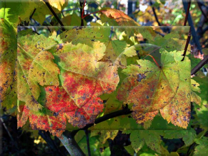 Digital Arts titled "Autumn View 3" by Ken Grzesik, Original Artwork, Manipulated Photography