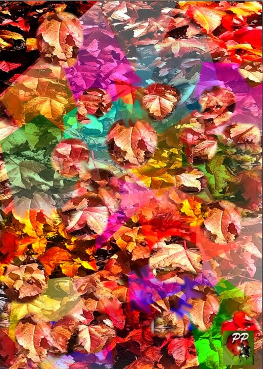 lierre d'automne