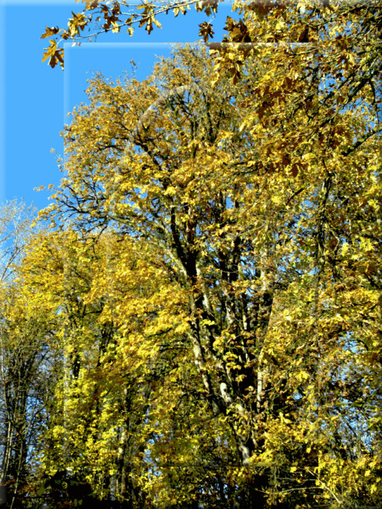 Digital Arts titled "Autumn View 4" by Ken Grzesik, Original Artwork, Manipulated Photography