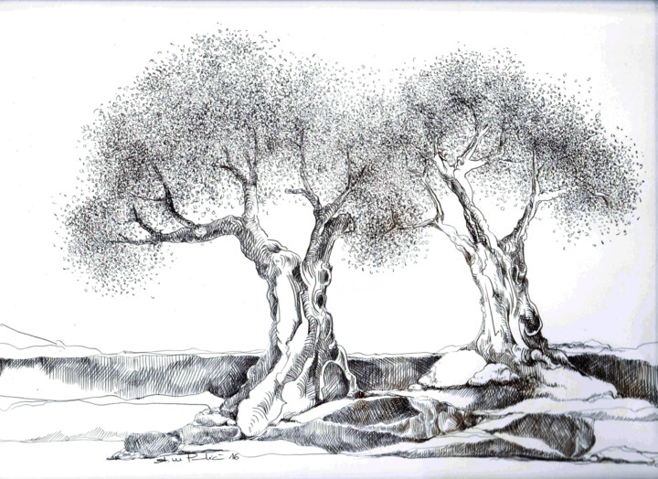 Olivenbäume Drawing, 9.8x12.6 in