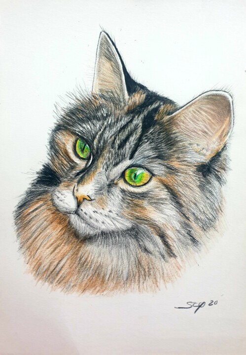 绘画,  11.4x8.3 in 