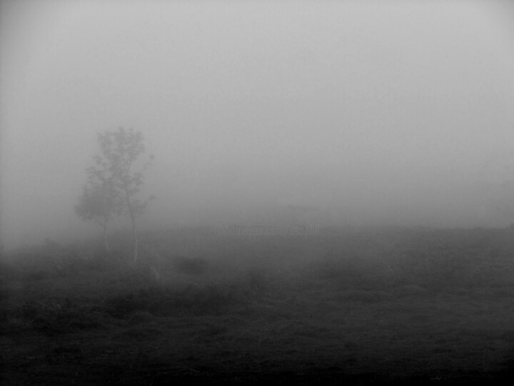 Solitaire.... Photography
