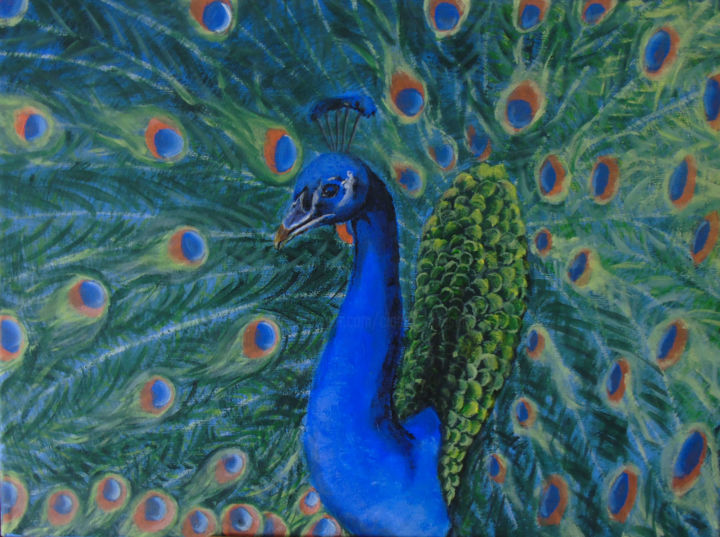 Paon 绘画, 11.8x15.8 in