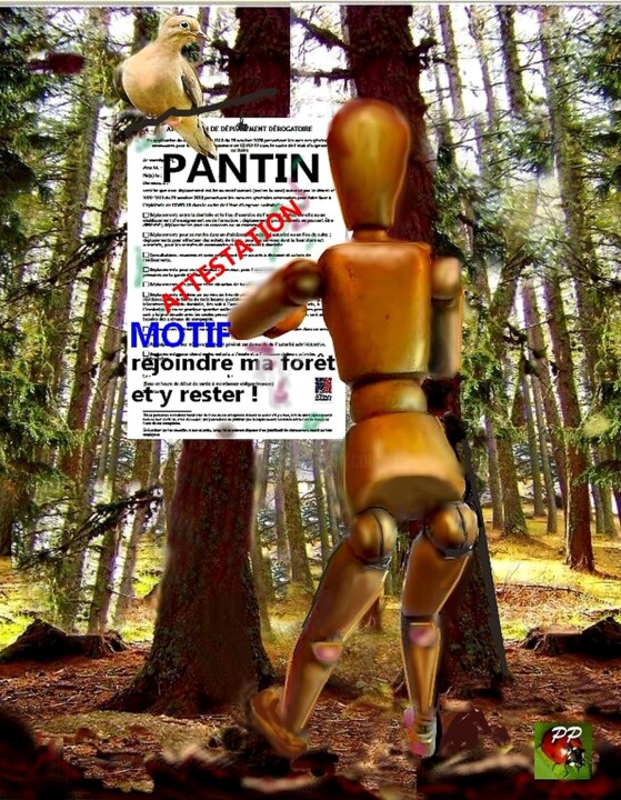 BONNE ATTESTATION DE SORTIE