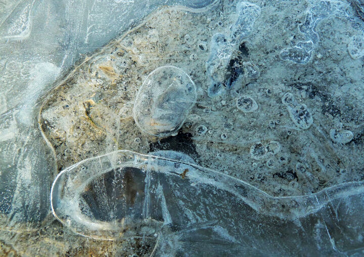 Les créatures 摄影