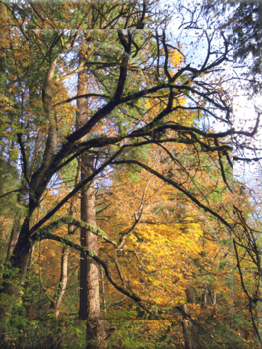 Photography titled "Autumn View 8" by Ken Grzesik, Original Artwork, Manipulated Photography