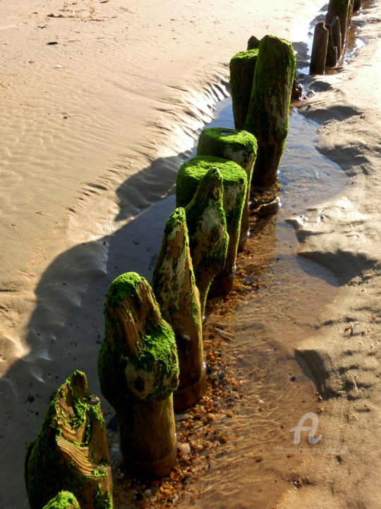 Photography titled "Marée basse à Molie…" by Janeon Photos, Original Artwork, Digital Photography