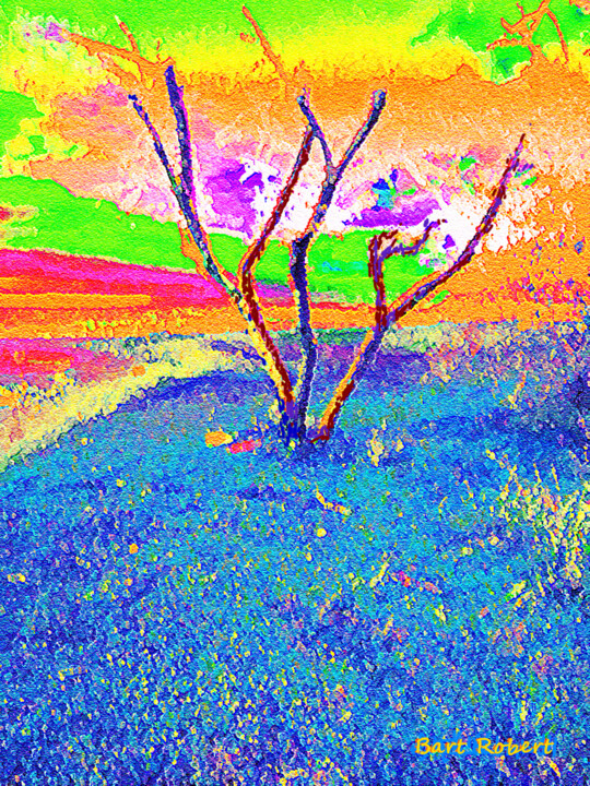 Digital Arts 