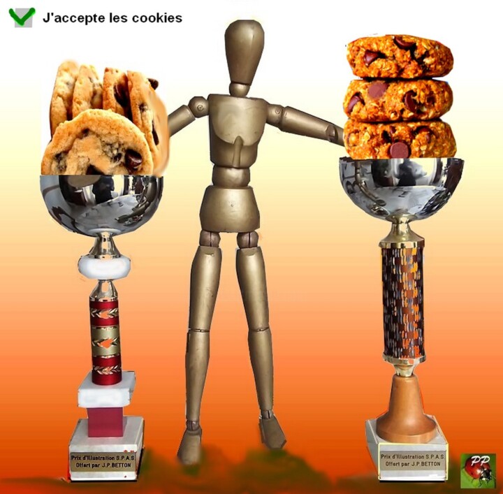 Accepter les cookies