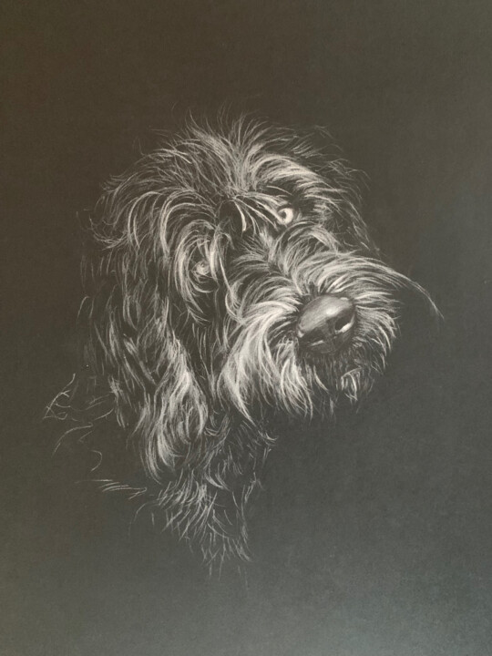 Griffon 图画, 19.7x11.8 in