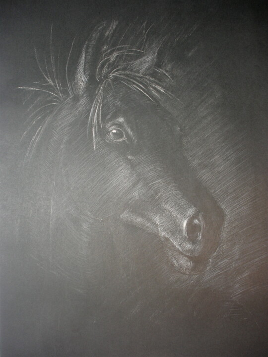 Tête de cheval à la craie 图画, 19.7x11.8 in