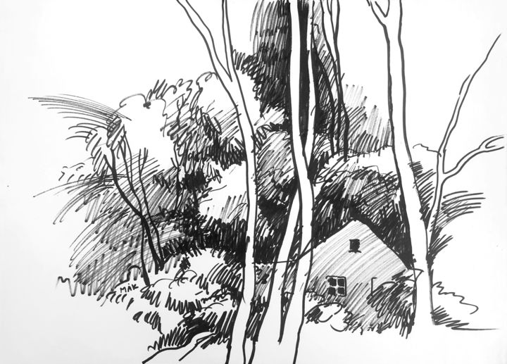Graphic Landscape 3 (A House in the Forest) 图画, 12.2x16.9 in