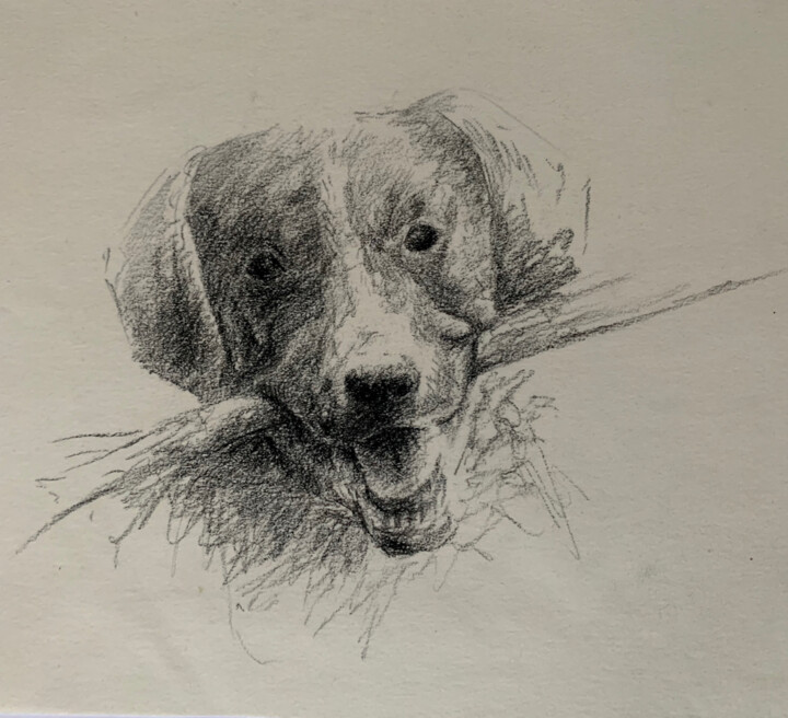 Chien de chasse 图画, 7.9x11.8 in