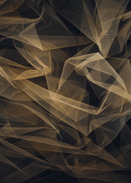 Yellow veil 摄影