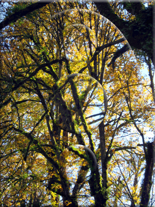 Photography titled "Autumn View 10" by Ken Grzesik, Original Artwork, Manipulated Photography