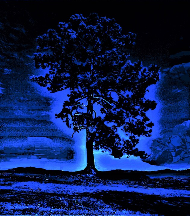 MIDNIGHT LADY Photography