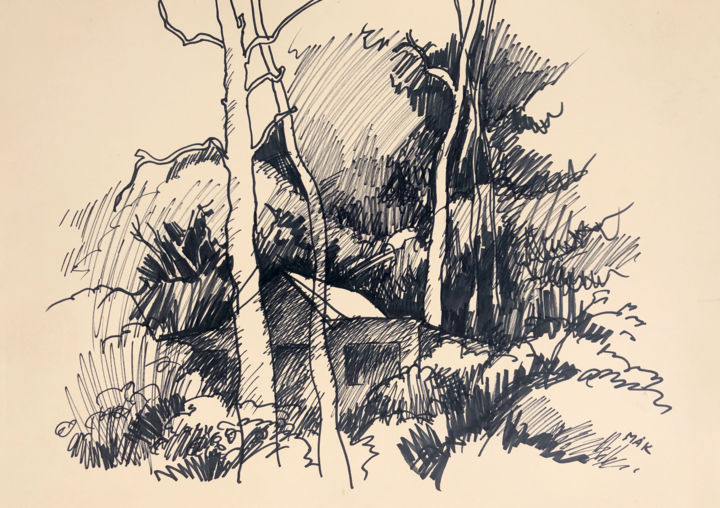Landscape 8 (In the Shade of the Trees) 图画, 11.7x16.5 in