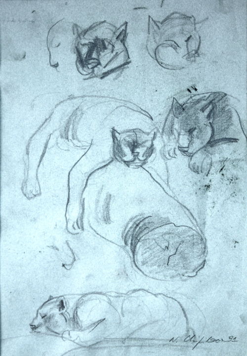 Dessin intitulée "Fauve. Jardin des p…" par Nathalia Chipilova, Œuvre d'art originale, Fusain