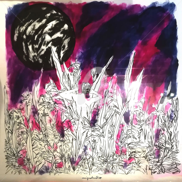 Disegno intitolato "Lunar." da Mignelmétro, Opera d'arte originale, Inchiostro