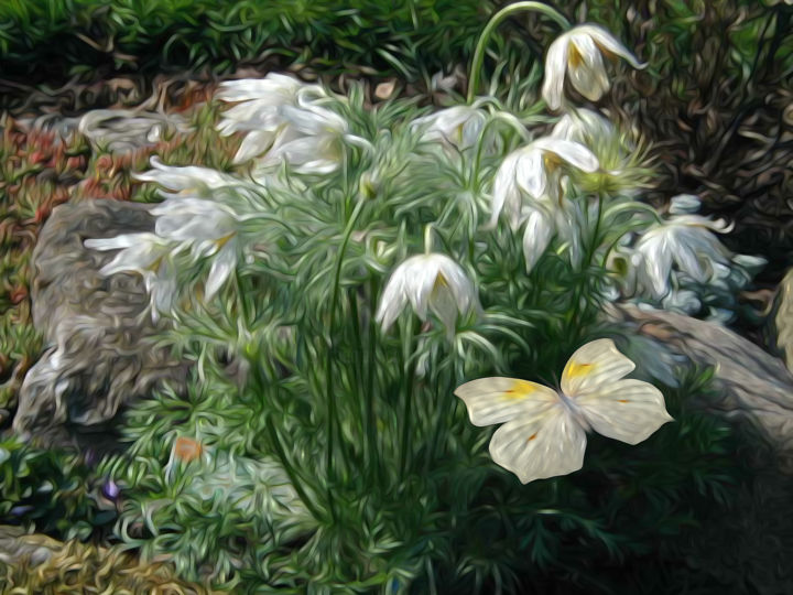 Fotografie getiteld "Spring Garden 1" door Roxana Ferllini, Origineel Kunstwerk, 2D Digital Work