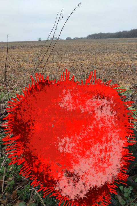 Field Experiment 数字艺术