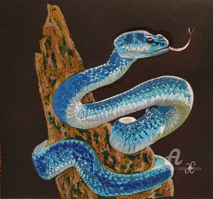 Le serpent 图画, 9.1x9.1 in
