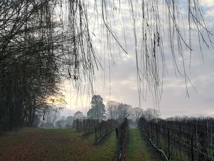 Photography titled "Allée lumière" by Bea Margot, Original Artwork, Non Manipulated Photography