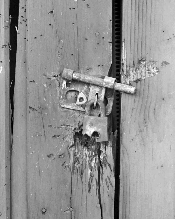 Photography titled "The Real World" by Ken Overman, Original Artwork, Analog photography