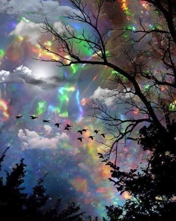 Photography titled "Splinter Rainbow" by Sophia Deniece Bossler, Original Artwork, Digital Photography
