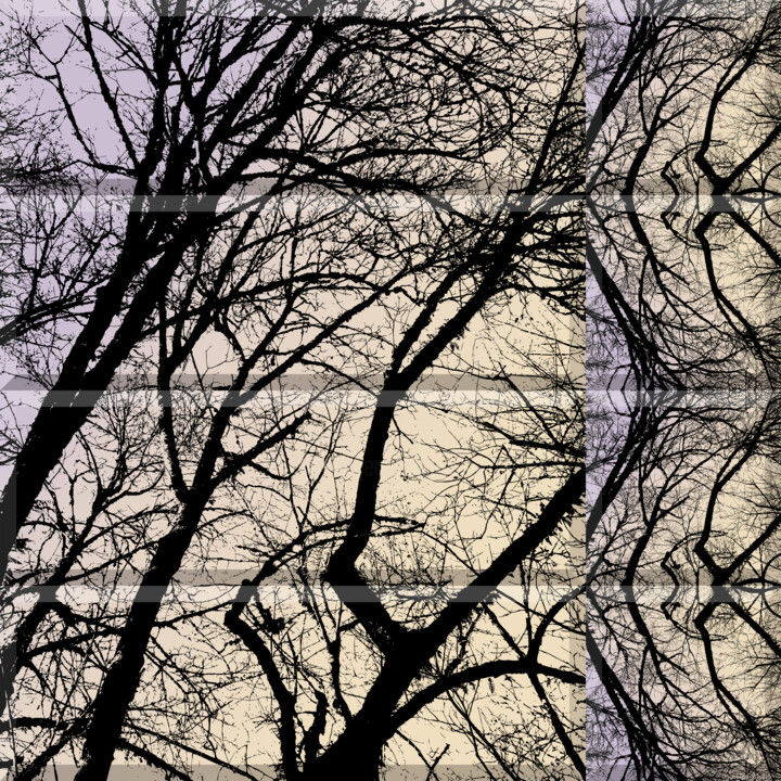 Artes digitais intitulada "Wintry Forest 4" por Ken Grzesik, Obras de arte originais, Trabalho Digital 2D