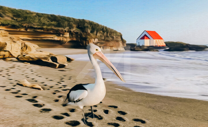 Pelican. 数字艺术