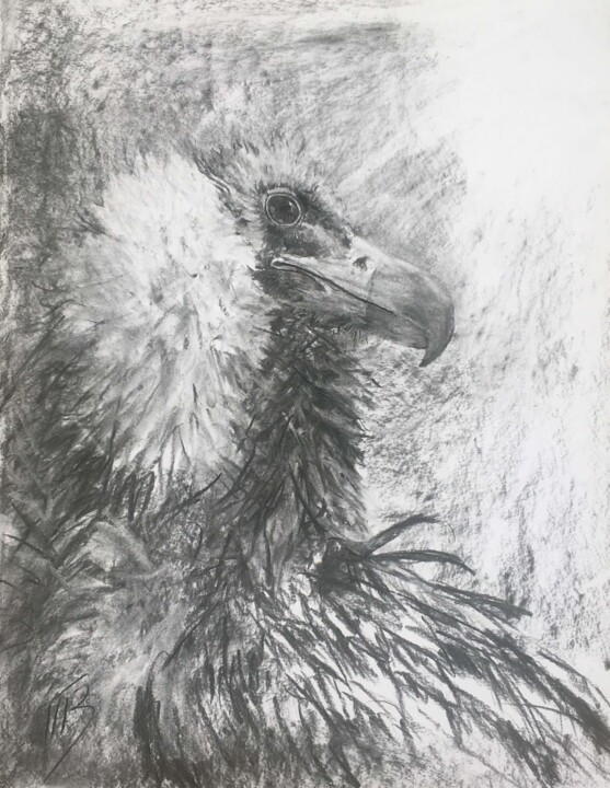 图画,  25.6x19.7 in 