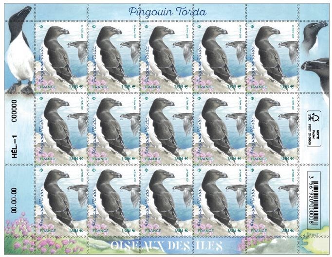 Planche de 15 timbres “Pingouin Torda” 绘画
