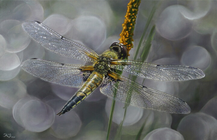 Dragonfly 绘画, 15.8x23.6 in