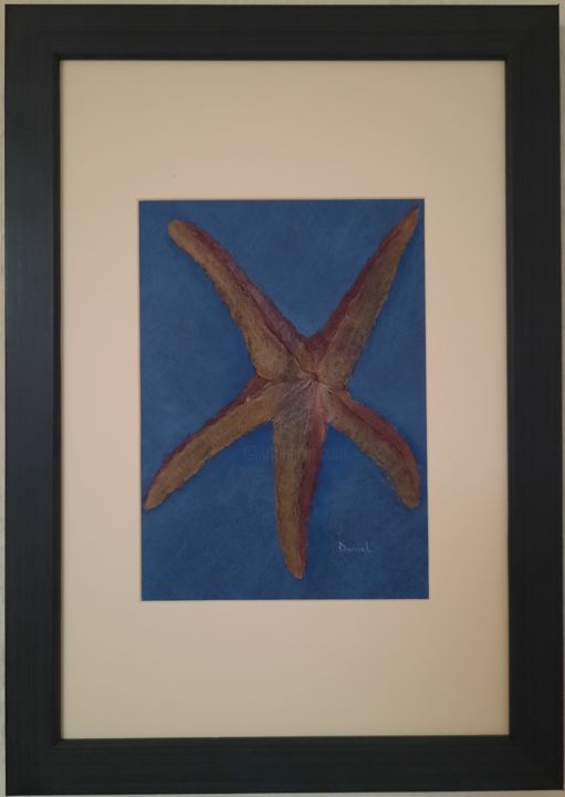 Σχέδιο με τίτλο "Starfish, drawing c…" από Daniel Darie, Αυθεντικά έργα τέχνης, Μολύβι