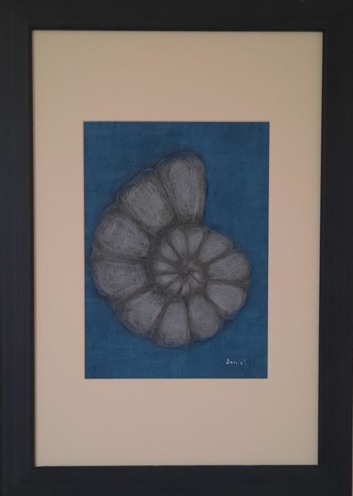 "Ammonite, drawing c…" başlıklı Resim Daniel Darie tarafından, Orijinal sanat, Kalem