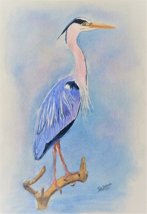 Garça Real Azul 绘画, 13x9.1 in