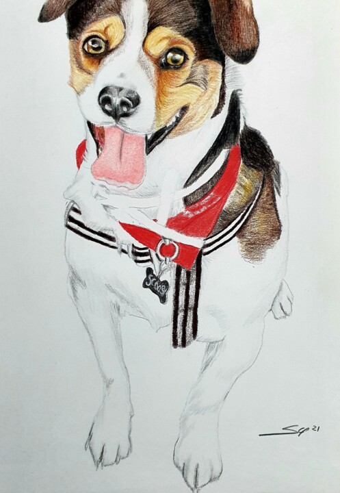Scooby 绘画, 11.7x8.3 in