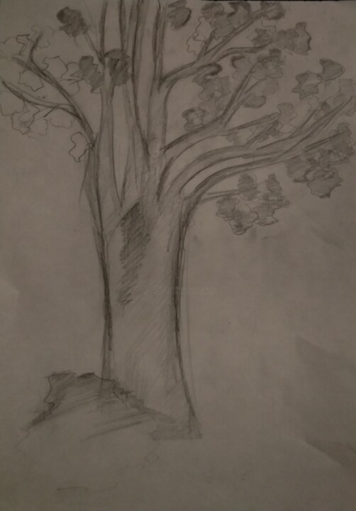 Drawing,  11x7.9 in 