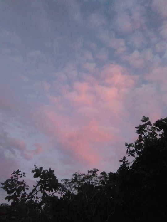 Nuage rose 摄影