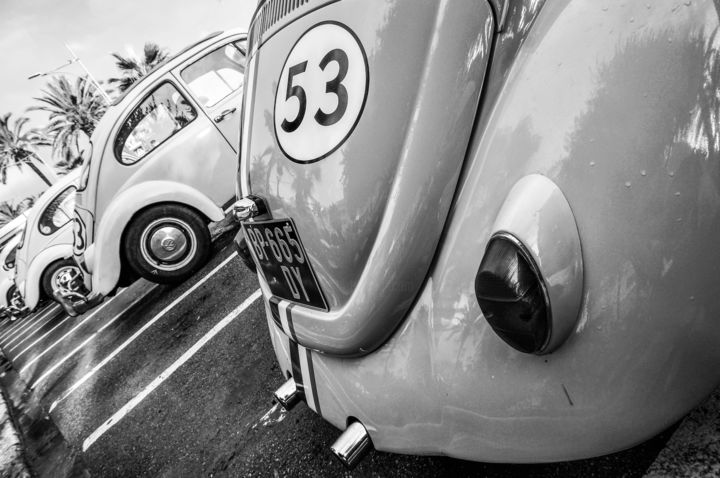 love bugs 摄影