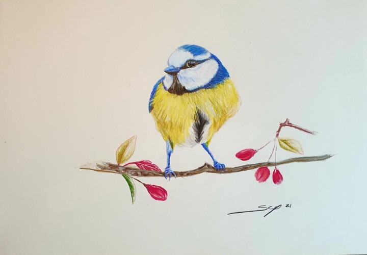 Blue bird 绘画, 8.3x11.7 in